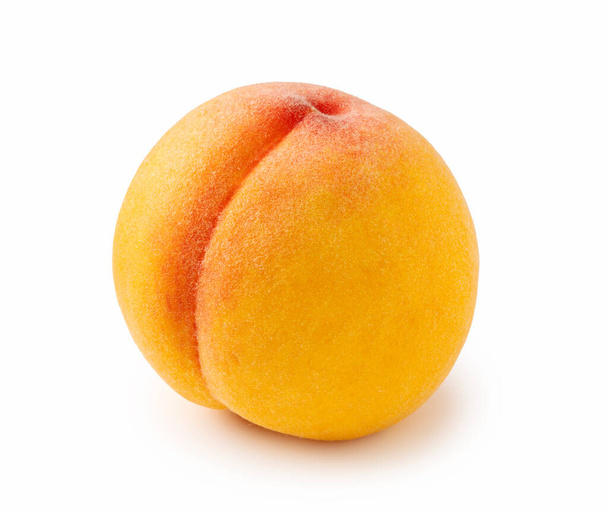 Yksi keltainen persikka valkoisella pohjalla - Valokuva, kuva