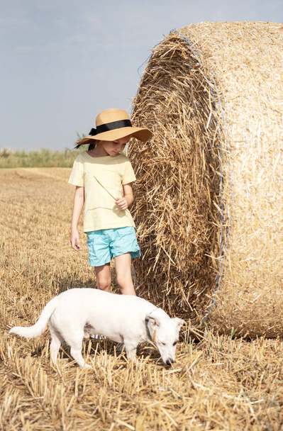 Petite fille et chien s'amusent dans un champ de blé un jour d'été. Enfant jouant au champ de balles de foin pendant la récolte. - Photo, image