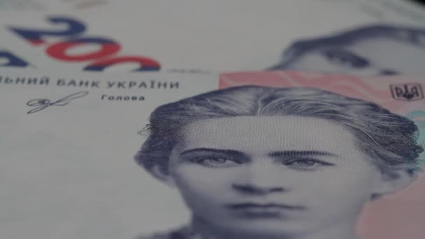 Die ukrainischen Hrywnja-Banknoten werden langsam auf dem Tisch gezählt. Makrosicht - Filmmaterial, Video
