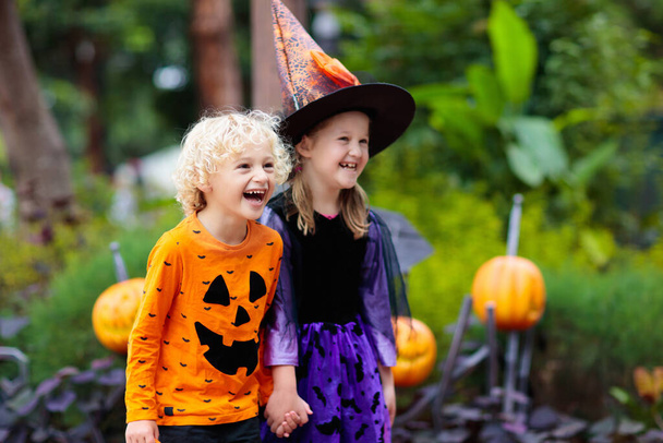 Child in Halloween costume. Kids trick or treat. Little boy and girl dressed as witch with hat holding pumpkin lantern and candy bucket. Family celebration.  - Photo, Image