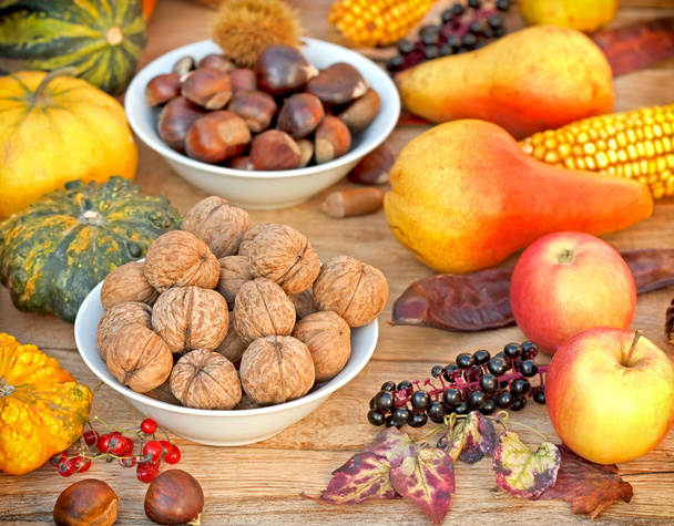 Autumn fruit - autumn harvest - Photo, Image