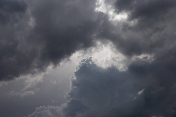 Contrasting heavy cumulonimbus clouds in the blue sky. Harbingers of rain. Sky pattern. - 写真・画像