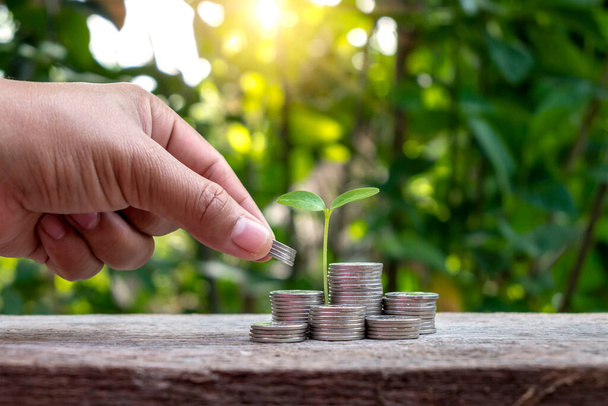 コインと自然の緑の背景から成長している緑の葉を持つ木は、中小企業のための資金管理の概念をぼやけている. - 写真・画像