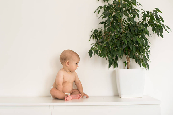 baby boy 6 months old sitting and looking at a flower, plant care, baby watering flowers at home, place for text - Photo, Image