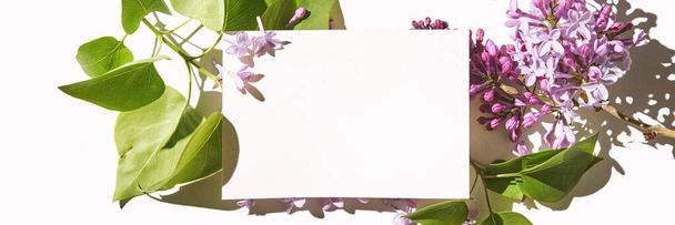 Trend sunny lilac mockup. White paper. Nature garden design. Flower card - 写真・画像