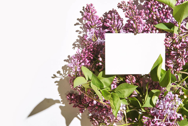 Trend sunny lilac mockup. White paper. Nature garden design. Flower card - Фото, изображение