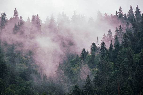Misty mountain landscape - Foto, Imagem