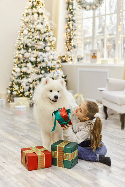 Niña de Navidad abrazo perro Samoyedo. Concepto de Navidad, invierno y gente. Tarjeta de felicitación navideña. Feliz Año Nuevo. Año Nuevo en casa - Foto, Imagen