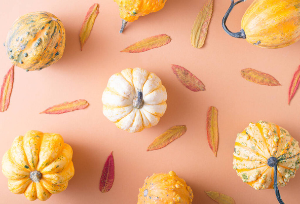 パステルの背景に葉や装飾的なカボチャで作られた秋のパターン。優しい色 - 写真・画像