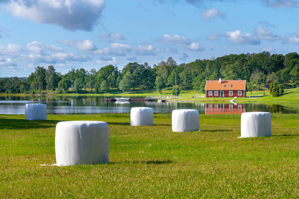 Typowy czerwony drewniany dom na wsi nad morzem w przyrodzie południowej Szwecji w piękny słoneczny letni dzień. Białe histerektary z przodu. Relaksujący krajobraz wiejski. - Zdjęcie, obraz