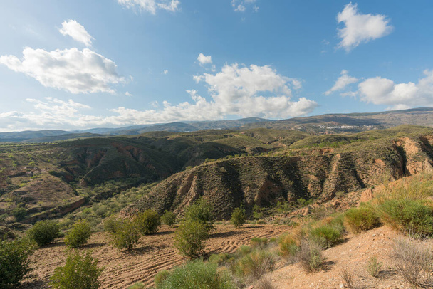 krajobraz górski w południowej Hiszpanii, są drzewa i krzewy, jest droga gruntowa na górze - Zdjęcie, obraz