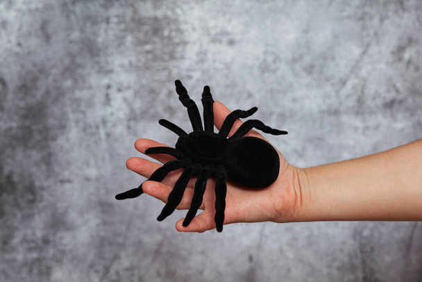 A mão direita de um homem segurando uma grande aranha de brinquedo preto em um fundo cinza texturizado. - Foto, Imagem
