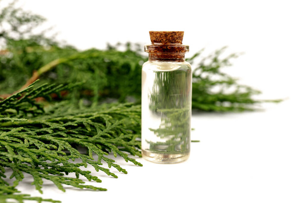 Ätherisches Zypressenöl. Zypressenöl auf Glasflasche für Schönheit, Hautpflege, Wellness. Alternative Medizin - Foto, Bild