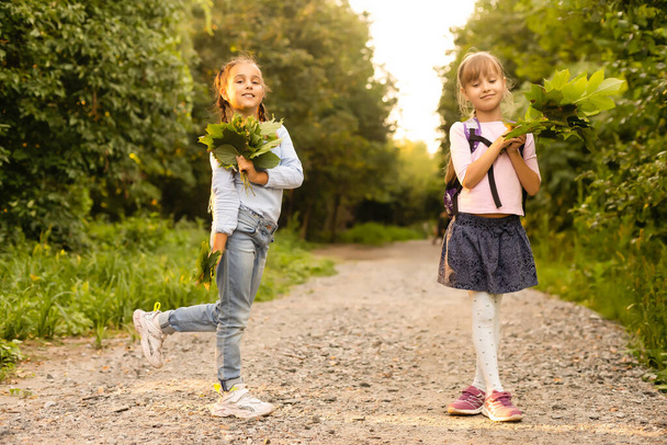 Két lány sétál nyáron a parkban, beszélgetnek, sétálnak iskola és főiskola után, fogják egymás kezét, a legjobb barátok hazajönnek suli után. Szabad hely a szöveg másolásához - Fotó, kép