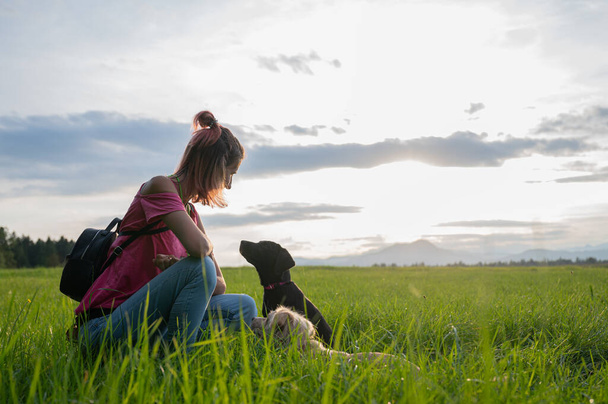 Jeune femme dehors dans une belle prairie verte agenouillée devant ses deux chiens la regardant avec attention et confiance. - Photo, image