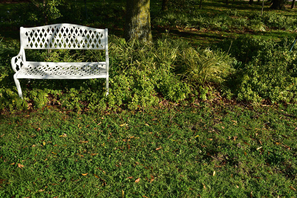 誰かが参加するのを待っている鮮やかな緑の芝生の上に空の白い公園のベンチ - 写真・画像