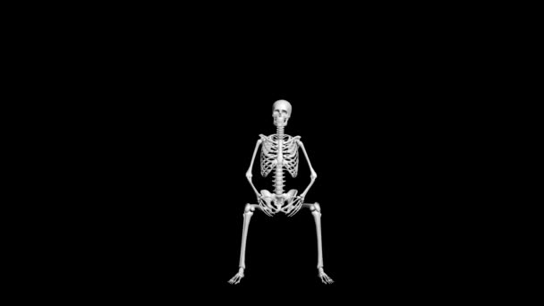 Csontvázak 3D animációja. Ülő pózban. - Felvétel, videó
