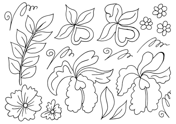 Colección de elementos vectoriales monocromáticos. Flores y hojas en mano dibujan estilo. Elementos para su diseño. Orquídeas, hojas y rizos - Vector, imagen