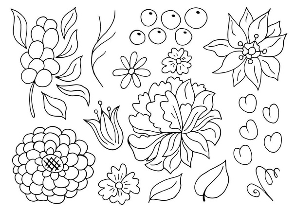 Colección de elementos florales monocromáticos. Flores y hojas en mano dibujan estilo. Elementos para su diseño. Peonías y bayas - Vector, Imagen