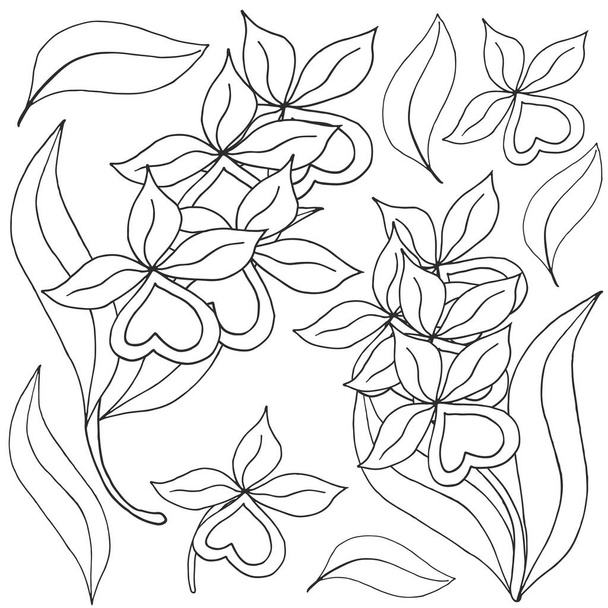 Orchids. Set of orchid inflorescences. Monochrome flowers, elements. Cute flowers in hand draw style - Vector, Image