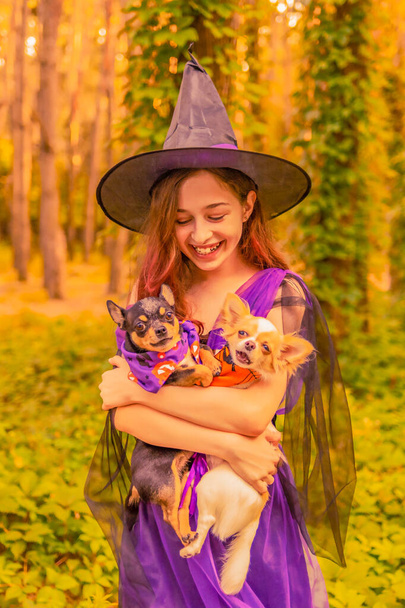 Cadılar Bayramı. Şirin küçük cadı. Cadı kostümlü köpeklerle güzel bir kız çocuğu.. - Fotoğraf, Görsel