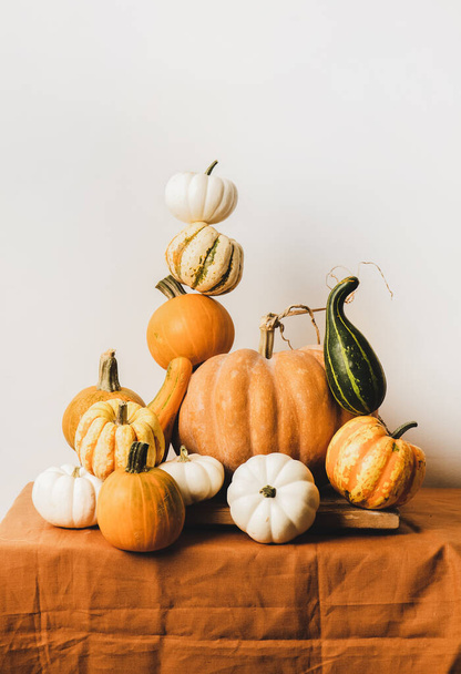 Pumpkins for Halloween or Thanksgiving Day Autumn holiday decoration. Colorful pumpkins of different shapes and size in pyramid composition, white wall at background. Seasonal Fall food - Foto, Imagem