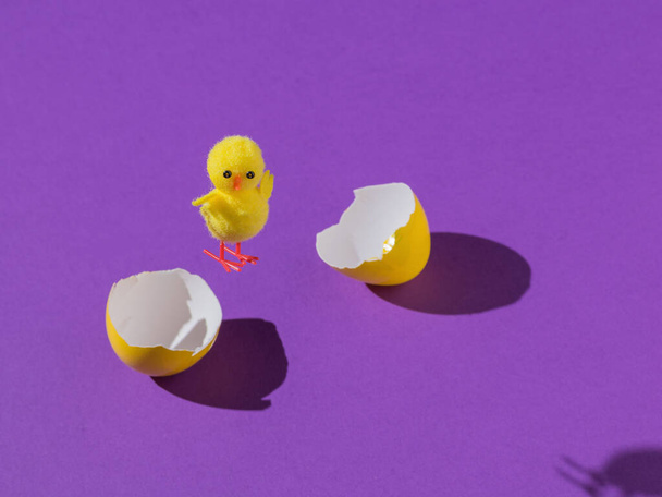 Un poulet qui sort d'un œuf fendu sur fond violet. Le concept d'une nouvelle vie. - Photo, image