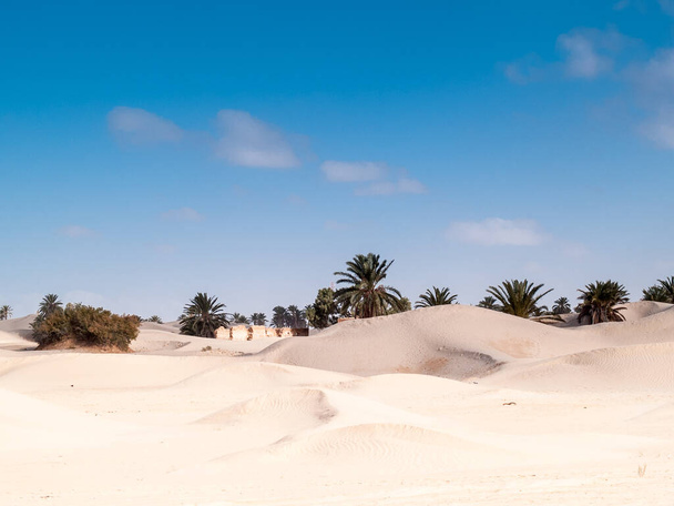 A desert landscape of dunes in Douz, Tunisia - Photo, Image
