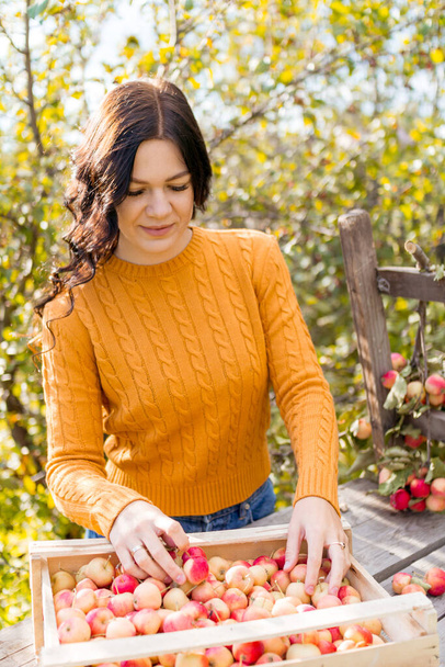 Une jeune femme cueille des pommes dans le jardin d'automne - Photo, image