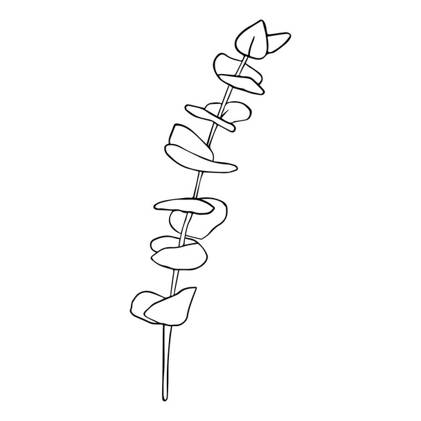 Eucalyptus silver dollar branch continuous line drawing. One line minimalism art - Vektor, Bild