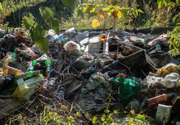 duże wysypisko śmieci w parku miejskim - Zdjęcie, obraz
