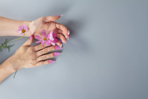 hands of a woman with nails made of pink petals of the cosmos flower, natural manicure made of color on a gray background is a symbol of nail care. - Фото, зображення