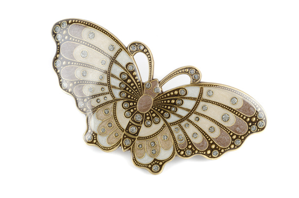 φουρκέτα όμορφη πεταλούδα - Φωτογραφία, εικόνα