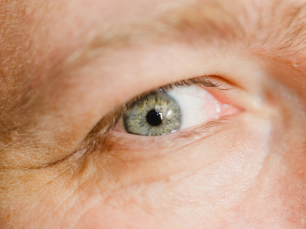 human blue colored eye, close up photo - Foto, Imagem