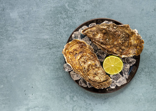 Prato de ostras com limão e gelo. Servido fresco e perto. Frutos do mar saudáveis - Foto, Imagem