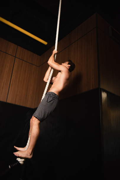full length view of shirtless barefoot sportsman climbing on gymnastic rope in gym - Фото, изображение