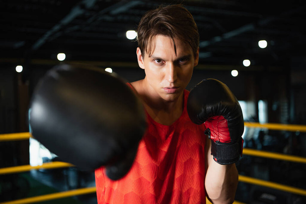 boxer při pohledu na kameru při cvičení v tělocvičně na rozmazané popředí - Fotografie, Obrázek
