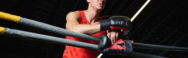 bijgesneden weergave van bokser leunen op touwen van de ring in de sportschool, banner - Foto, afbeelding