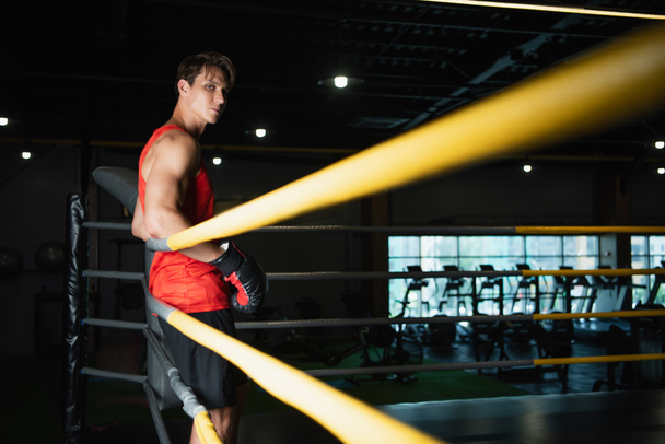 confident boxer looking at camera while leaning on ropes of ring in gym - Photo, Image