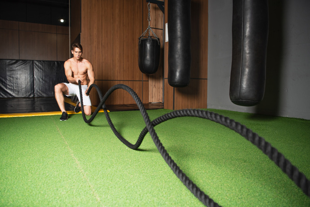 shirtless sportive man exercising with battle ropes in sports center - Photo, Image