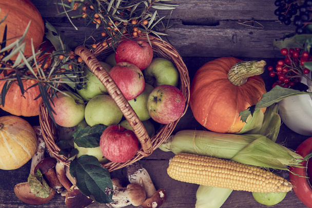 秋の収穫。明るいカボチャとリンゴ、トウモロコシ、キノコと木製の表面上の様々な果実 - 写真・画像