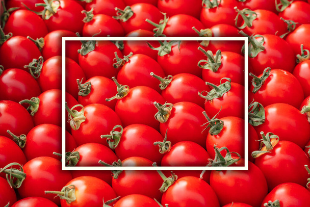 Imagen de fondo de filas tumbadas de tomates cherry rojos maduros con marco rectangular blanco. Vista superior. Acostado. Copiar espacio - Foto, Imagen