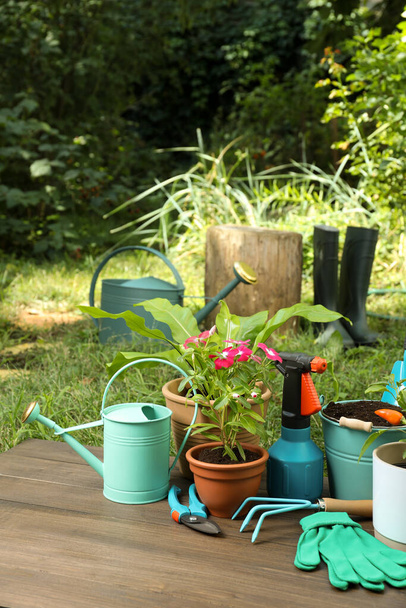 Hermosas plantas y herramientas de jardinería en mesa de madera en el jardín, espacio para el texto - Foto, imagen