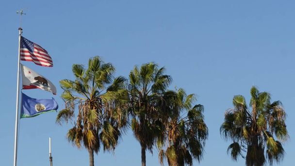 Palmy i amerykańska flaga, Los Angeles, Kalifornia, USA. Letnia estetyka Santa Monica i Venice Beach. Gwiezdny sztandar, Gwiazdy i Paski. Atmosfera patriotyzmu w Hollywood. Stara Chwała - Zdjęcie, obraz