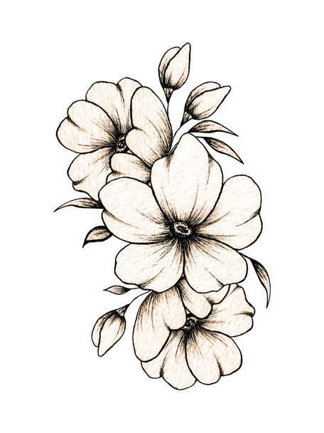 Simple hand drawn floral composition with various big and small flowers and leaves isolated on white background, warm ink drawing monochrome elegant flower composition in vintage style - 写真・画像