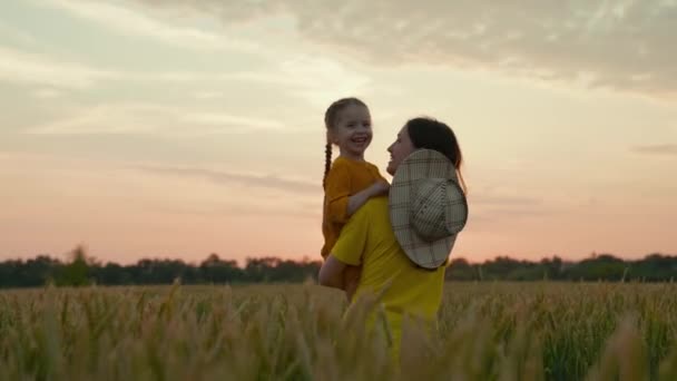 Uma mãe agricultora gentil com uma criança em um campo com trigo ao pôr-do-sol, cultivando grãos para fazer pão, uma criança feliz, um negócio familiar em um rancho, examinando as culturas cultivadas com um bebê em seus braços - Filmagem, Vídeo