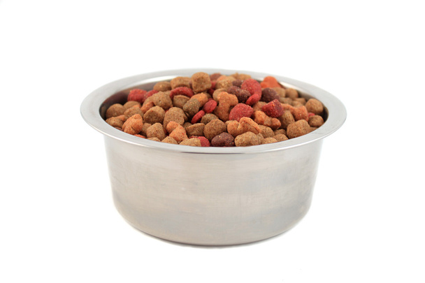 Чаша с собачьей едой
 - Фото, изображение