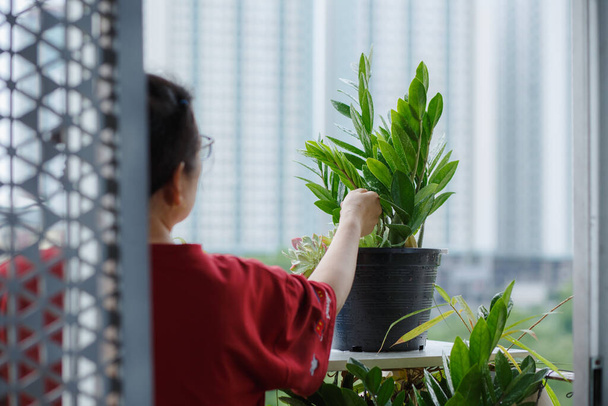 Οι γυναίκες φυτεύουν δέντρα στο μπαλκόνι του δωματίου. Ένα νέο φυσιολογικό τρόπο ζωής για τους ανθρώπους μετά την επιδημία Coronavirus - Φωτογραφία, εικόνα