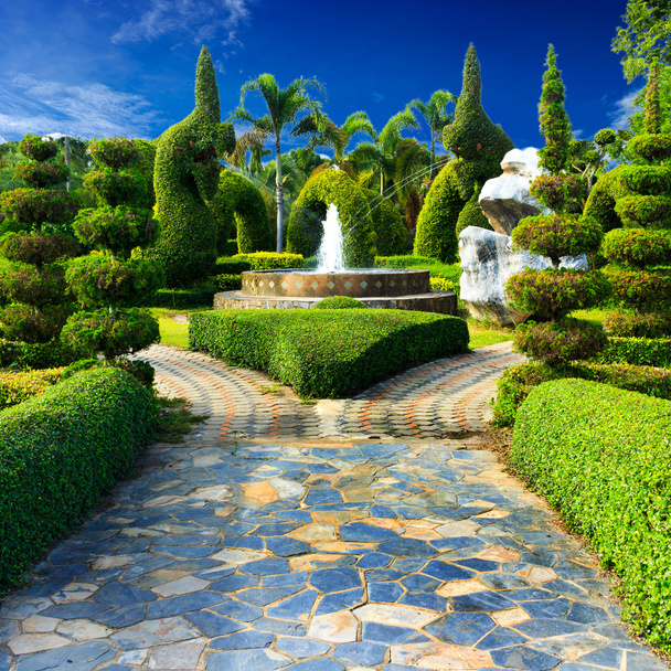 Landscaping in the garden design. - Photo, Image