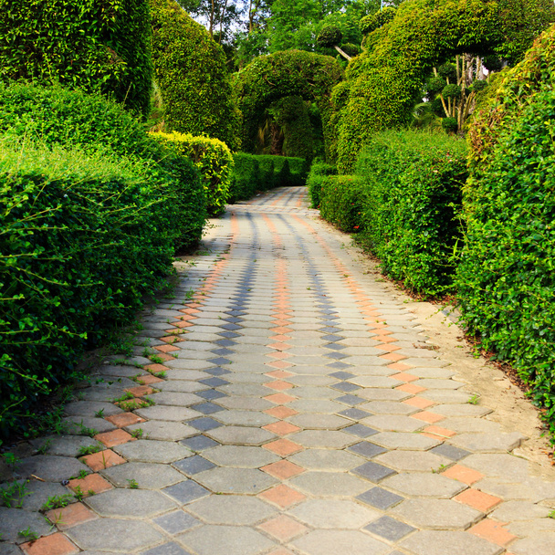 Pathway in garden design. - Foto, afbeelding